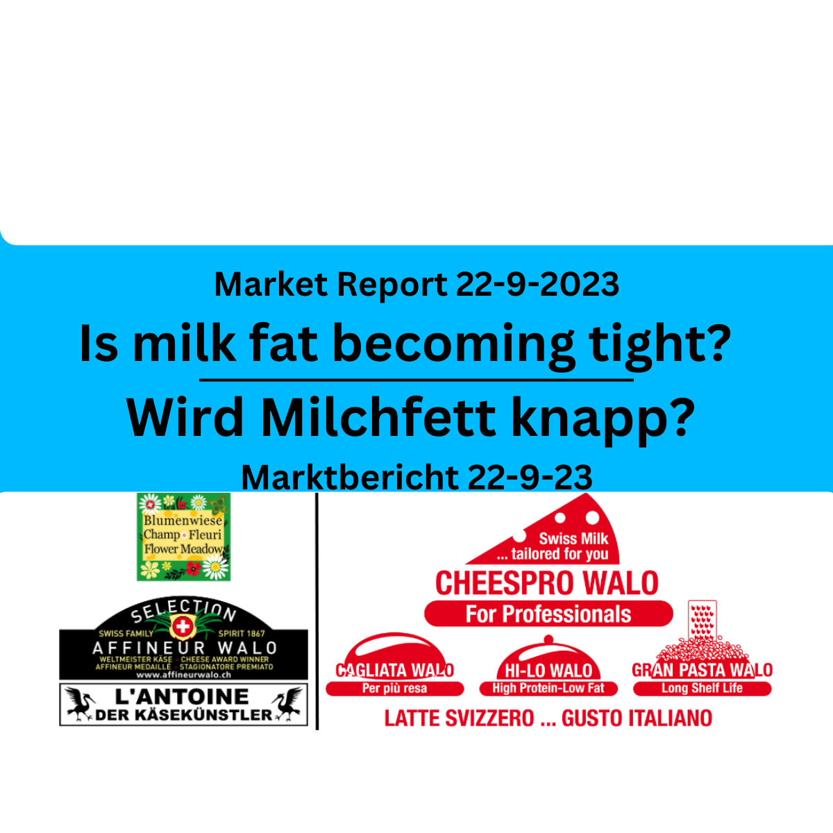 Market Report-22-9-23, Marktbericht 22-9-23